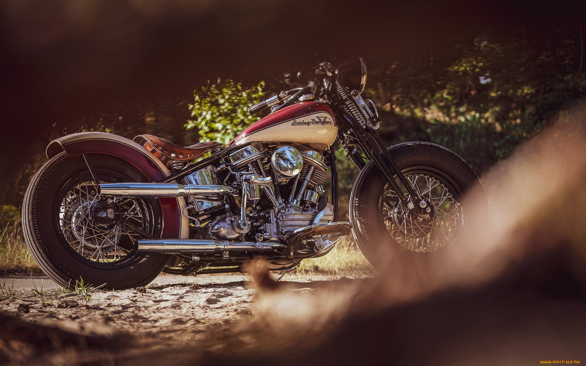 , , harley-davidson, , 